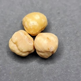 تصویر مغز فندق سفید درجه یک - نیم کیلویی 