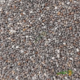 تصویر دانه چیا گیلامی ( Gilamie Chia Seeds ) 