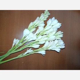 تصویر پیاز گل مریم (معطر) 