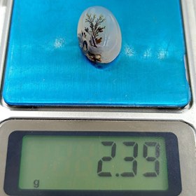 تصویر نگین شجر طبیعی کد ۱۲۰۸۶ 