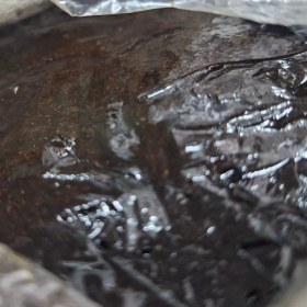 تصویر عمران زرشک 10گرم 