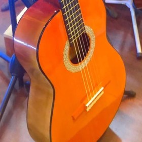 تصویر گیتار پارسی m2 