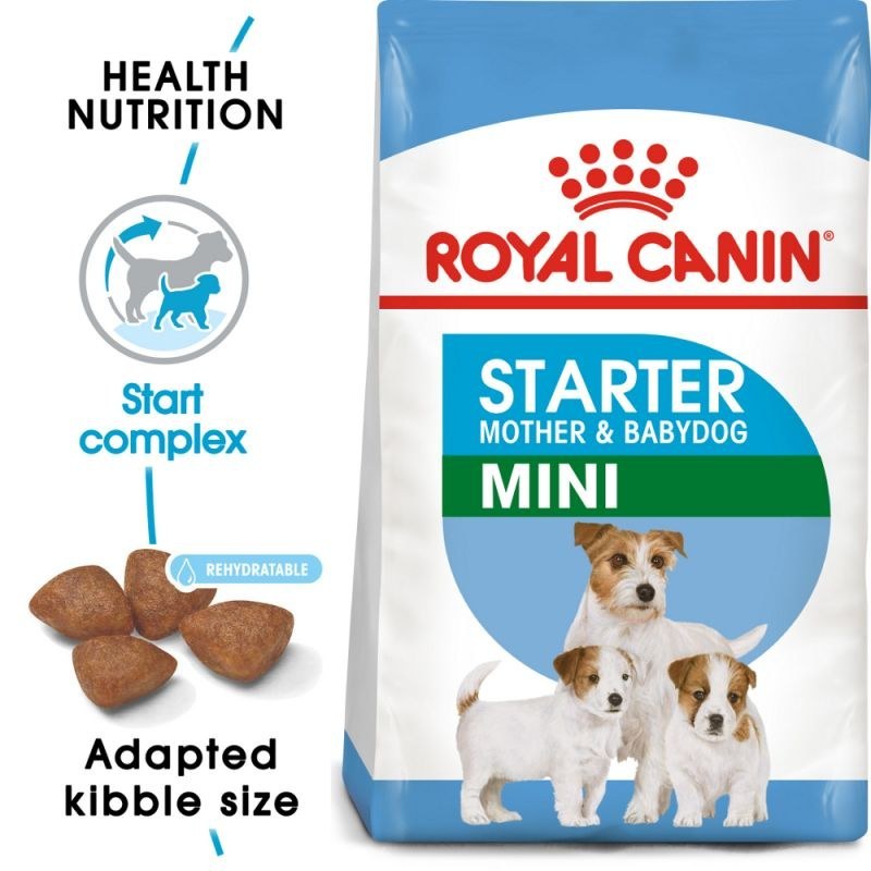 Starter 2025 royal canin