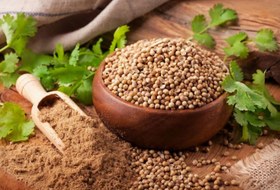 تصویر بذر گشنیز - پاکت پلاستیکی / 200g / بذر گشنیز coriander seeds