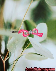 تصویر سنجاق مو مجلسی 