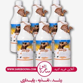 تصویر دوغ شتر ارگانیک ۱ لیتری 