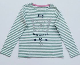 تصویر بلوز آستین بلند طرح fly 