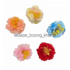 تصویر سر گل سوسن تکی درشت 