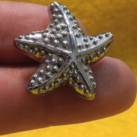 تصویر دکمه پینترسی ستاره دریایی - نقره ای 