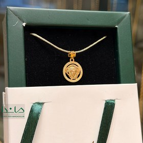 تصویر پلاک ورساچه 