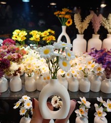 تصویر گلدان حلقه ای گل بابونه 