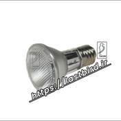 تصویر لامپ مخصوص پرندگان 50 وات با فیلتر UV ( مادون قرمز | مادر مصنوعی | UVB | سرپیچ معمولی | هالوژن ) 