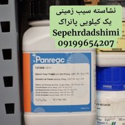 تصویر نشاسته سیب زمینی یک کیلویی پانراک 