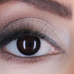 تصویر لنز طبی رنگی فصلی فستیوال - مشکی festival contact lens