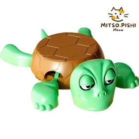 تصویر زیرلیوانی لاکپشت 