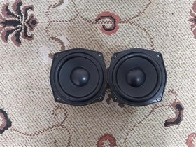 تصویر میدبیس آیوا خانگی 