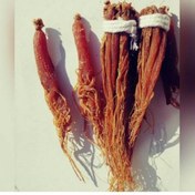 تصویر ریشه گیاهی جنسینگ قرمز 100 گرم 