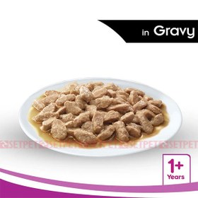 تصویر پوچ گربه ويسكاس طعم مرغ و بره و هويج مدل Tasty Mix in Gravy وزن 85 گرم پوچ گربه ويسكاس طعم مرغ و بره و هويج مدل Tasty Mix in Gravy وزن 85 گرم