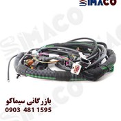 تصویر سیم کشی داخل موتور پژو 405 کد 2268 دناکو | دسته سیم موتور اسست 2224-2268 