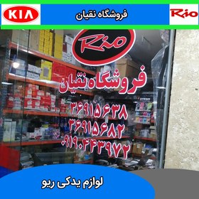 تصویر روکش درب عقب ریو چپ 