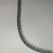 تصویر مژه ریسه ای فیشر سایز 12 مژه مصنوعی ریلی فیشر ابریشمی انواع چسب مژه سه بعدی موژه متری کاشت موقت مژه کایلی کینگ موجوده 