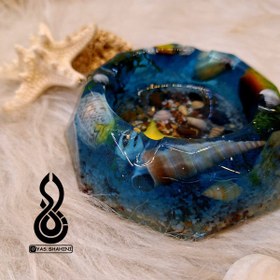 تصویر زیرسیگاریی دریایی رزینی 