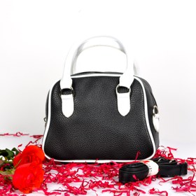 تصویر کیف پاسپورتی تپلی 