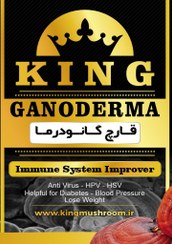 تصویر قارچ گانودرما قرمز بسته بندی 1000 گرمی 