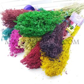 تصویر گل خشک مدل سبزه ریزه 