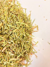 تصویر خارشتر 