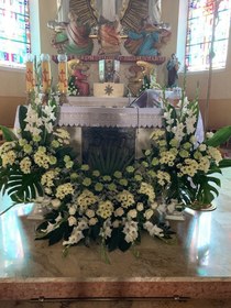 تصویر گل تریبون کد 6 