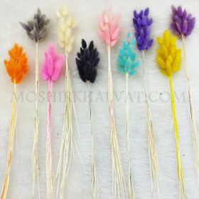 تصویر گل خشک مدل دم خرگوشی 