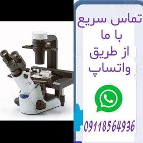 تصویر میکروسکوپ اینورت اکبند مدل CK53 از کمپانی Olympus ژاپن 