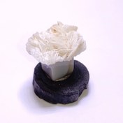 تصویر باریت سفید کرمی به فرم گل رز ،فوق کلکسیونی 