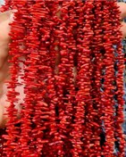 تصویر ریسه مرجان 