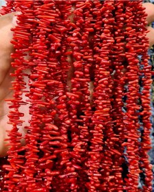 تصویر ریسه مرجان 