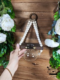 تصویر گیاه پتوس سلنا 