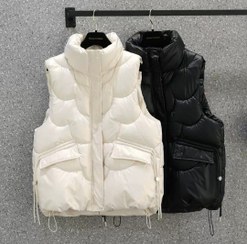 تصویر پافر سااه 