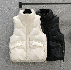 تصویر پافر سااه 