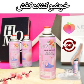 تصویر اسپری خوشبو کننده و بوگیر کفش ۲۴ساعته لوکی فاین (LUCKY FINE SHOES SPRAY 260MIL) 