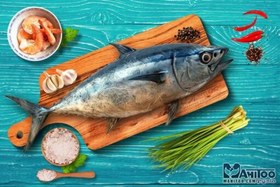 تصویر ماهی تن (هوور) 