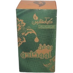 تصویر روغن آواکادو گیاه قانون 