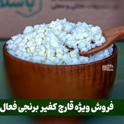 تصویر قارچ کفیر برنجی فعال (40 گرمی) به همراه آموزش رایگان محصولات کفیر 