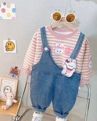 تصویر بیلر بالدار و دورس خرگوشی 