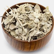 تصویر گیاه پولک یا پلک (سنبله ارسبارانی) Stachys schtschegleevii