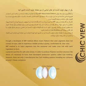 تصویر لنز چشم چیک ویو شماره 120 مدل AR-GRAY (chic view) رنگ طوسی Chic view soft contact lens AR-GRAY-120