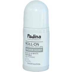 تصویر مام رول ضد تعریق مردانه پادینا مدل Silver Scent حجم ۷۵ میلی لیتر 