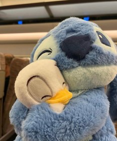 تصویر عروسک استیج اردک به دست 