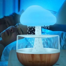 تصویر قارچ باران ساز 