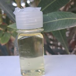 تصویر روغن کرچک - 60cc Castor Oil - Pure & Cold-Pressed